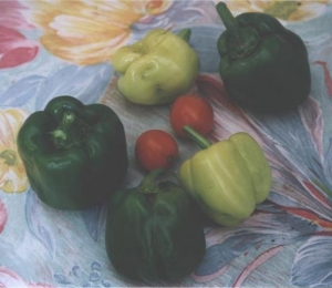 peppers_001.jpg
