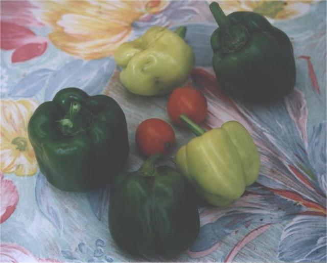 peppers_001.jpg